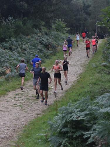 Cross Country