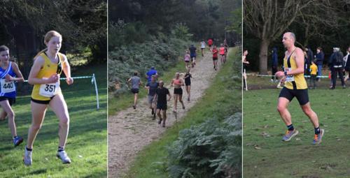 Cross Country Strip