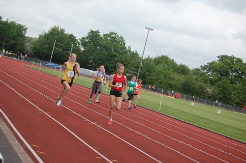 YDL1