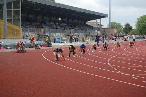 YDL3