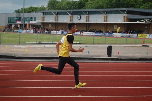 YDL4