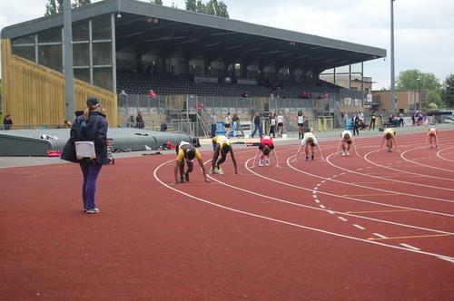 YDL6