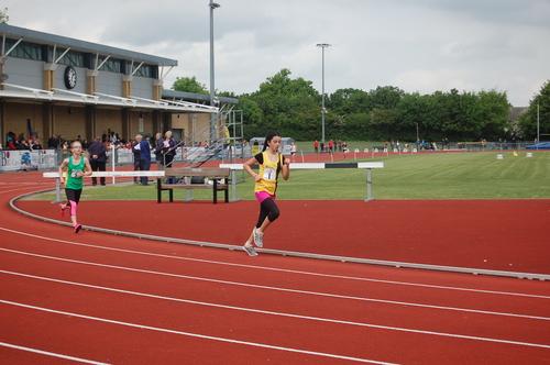 YDL13
