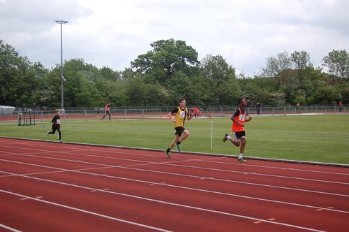 YDL14