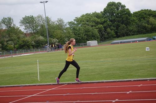 YDL18