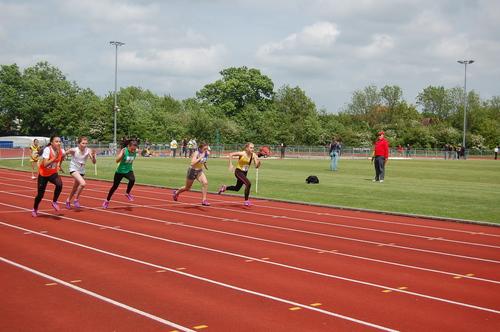 YDL19