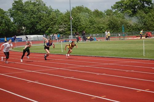 YDL19