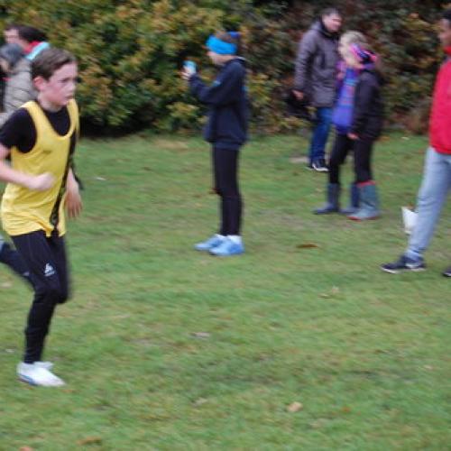 XC Danson4